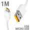 gid://shopify/Product/16119183901017_1