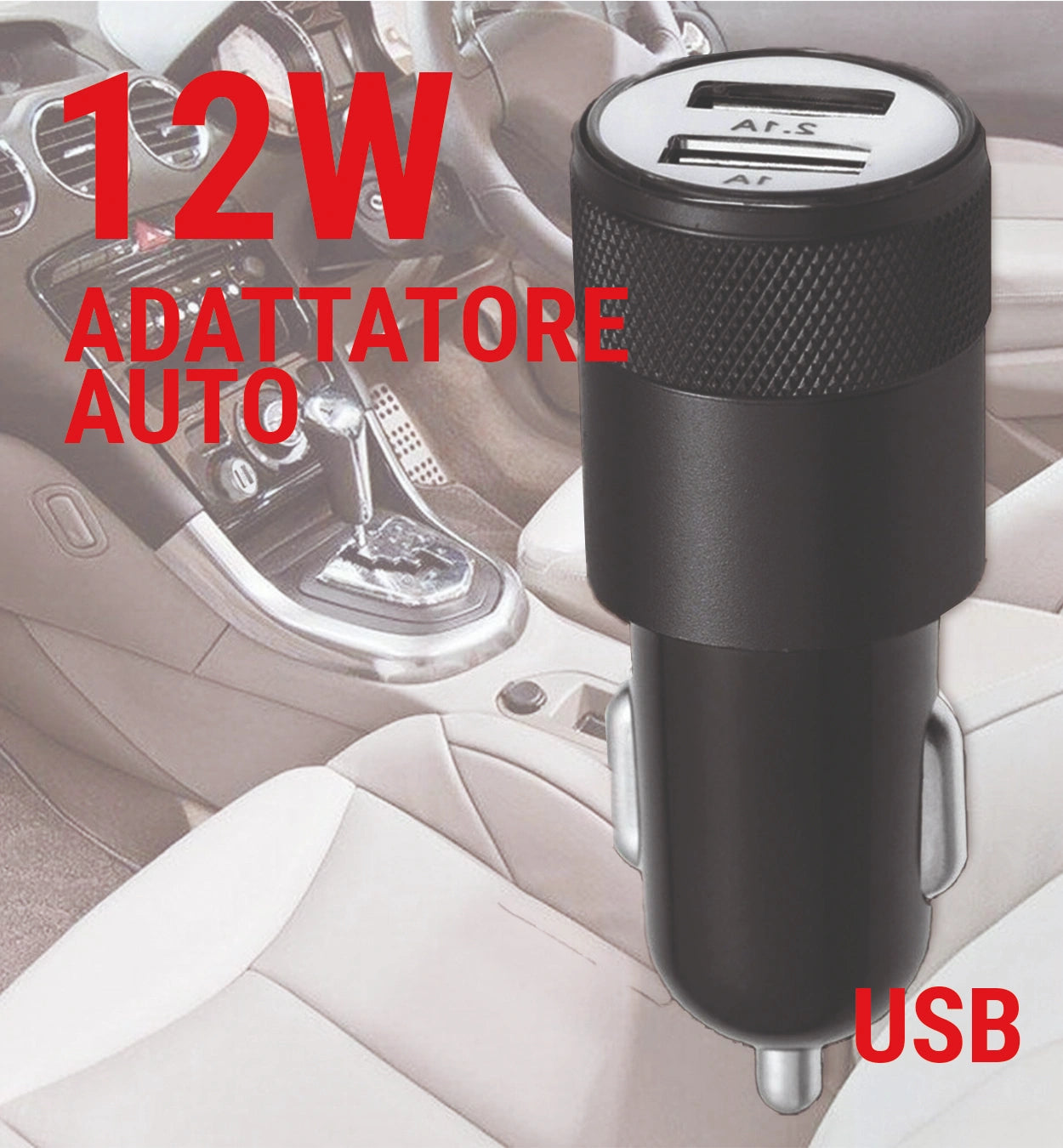 gid://shopify/Product/16119176298841_3