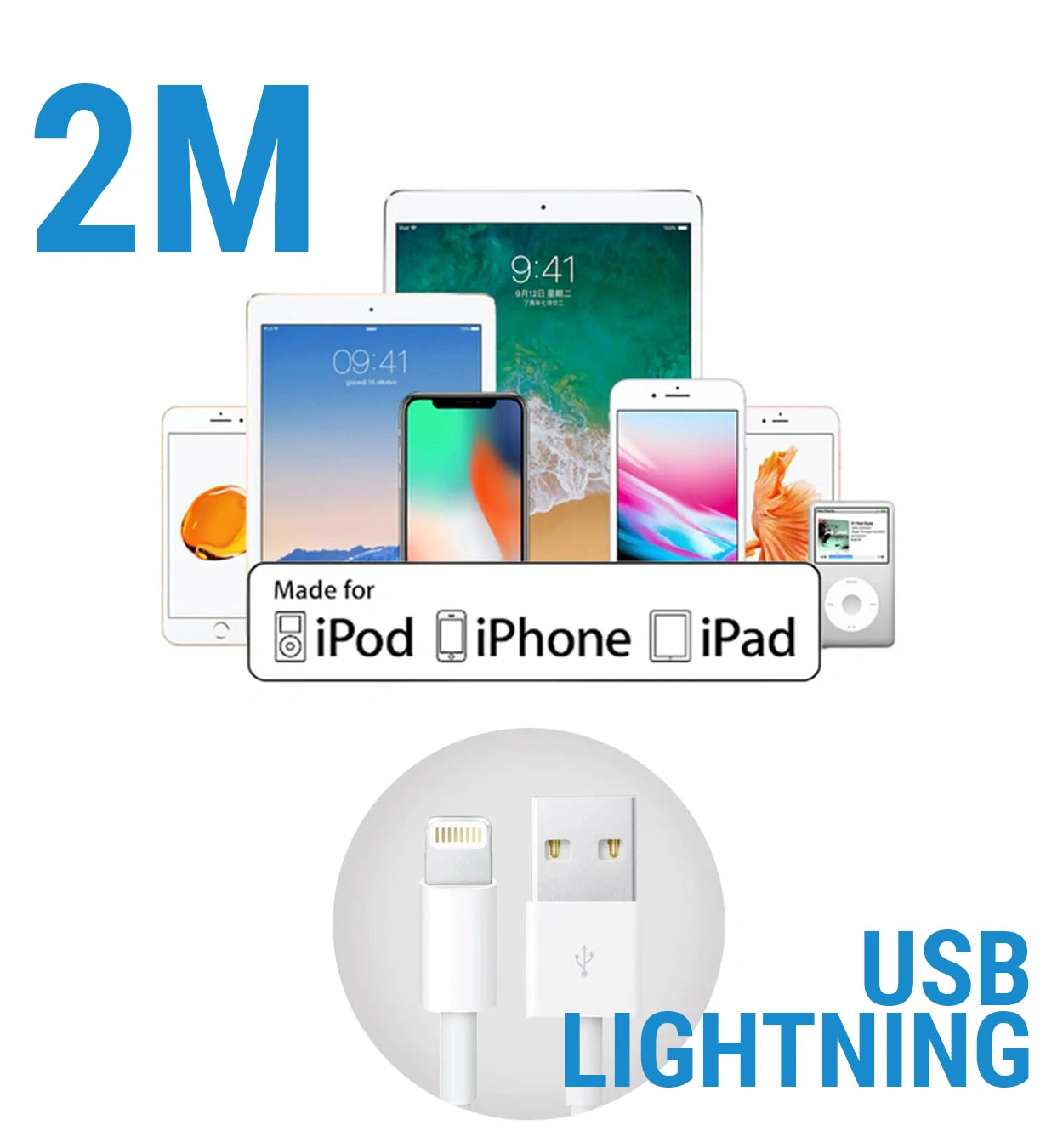 gid://shopify/Product/16119181148505_4