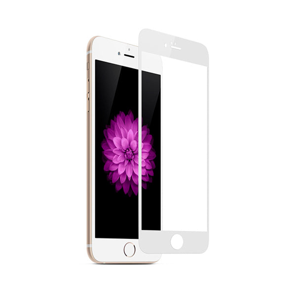 gid://shopify/Product/16119402430809_1