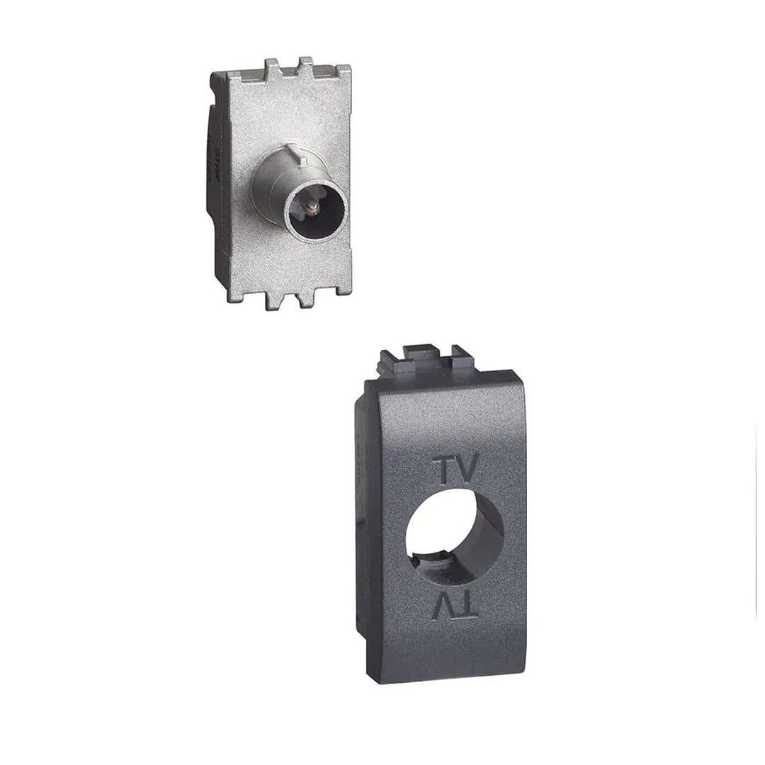 gid://shopify/Product/16197088313689_1